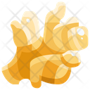 پیش‌نمایش فایل ginger-1640417 از پک سبزیجات