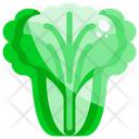 پیش‌نمایش فایل lettuce-1640416 از پک سبزیجات