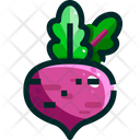 پیش‌نمایش فایل beetroot-1640391 از پک سبزیجات