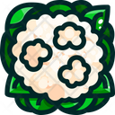 پیش‌نمایش فایل broccoflower-1640390 از پک سبزیجات