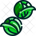 پیش‌نمایش فایل brussel-sprout-1640387 از پک سبزیجات
