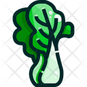 پیش‌نمایش فایل cabbage-1640365 از پک سبزیجات