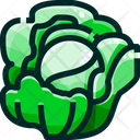 پیش‌نمایش فایل cabbage-1640388 از پک سبزیجات