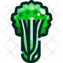 پیش‌نمایش فایل celery-1640378 از پک سبزیجات