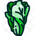 پیش‌نمایش فایل chinese-cabbage-1640377 از پک سبزیجات