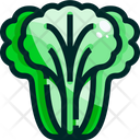 پیش‌نمایش فایل lettuce-1640371 از پک سبزیجات