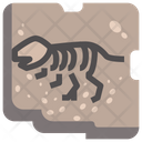پیش‌نمایش فایل fossil-1640107 از پک موزه