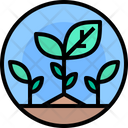 پیش‌نمایش فایل plant-1663348 از پک محیط زیست