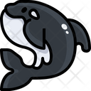 پیش‌نمایش فایل killer-whale-3420739 از پک آواتار حیوان