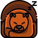 پیش‌نمایش فایل hibernation-3420826 از پک فصل پاییز