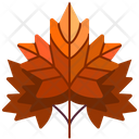 پیش‌نمایش فایل maple-leaf-3420890 از پک فصل پاییز