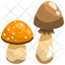 پیش‌نمایش فایل mushroom-3420877 از پک فصل پاییز