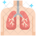 پیش‌نمایش فایل lungs-3438767 از پک ویروس کرونا