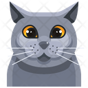 پیش‌نمایش فایل british-shorthair-3470548 از پک سگ و گربه