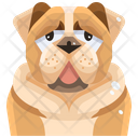 پیش‌نمایش فایل bull-dog-3470534 از پک سگ و گربه