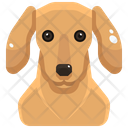 پیش‌نمایش فایل dachshund-3470546 از پک سگ و گربه