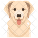 پیش‌نمایش فایل golden-retriever-3470540 از پک سگ و گربه