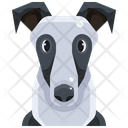 پیش‌نمایش فایل greyhound-3470541 از پک سگ و گربه