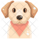 پیش‌نمایش فایل labrador-retrievers-3470535 از پک سگ و گربه