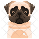 پیش‌نمایش فایل pug-3470537 از پک سگ و گربه