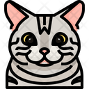 پیش‌نمایش فایل american-shorthair-3470496 از پک سگ و گربه