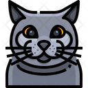 پیش‌نمایش فایل british-shorthair-3470489 از پک سگ و گربه