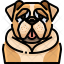 پیش‌نمایش فایل bull-dog-3470475 از پک سگ و گربه