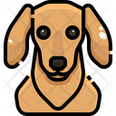 پیش‌نمایش فایل dachshund-3470487 از پک سگ و گربه