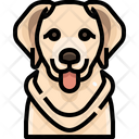 پیش‌نمایش فایل golden-retriever-3470481 از پک سگ و گربه