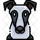 پیش‌نمایش فایل greyhound-3470482 از پک سگ و گربه