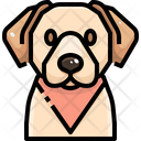 پیش‌نمایش فایل labrador-retrievers-3470476 از پک سگ و گربه