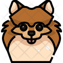 پیش‌نمایش فایل pomeranian-3470488 از پک سگ و گربه