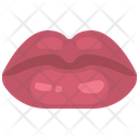 پیش‌نمایش فایل kiss-3491063 از پک بالا ساخت و زیبایی