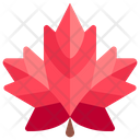 پیش‌نمایش فایل autumn-leaf-3506430 از پک آب و هوا