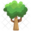 پیش‌نمایش فایل big-tree-3507207 از پک درخت