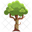 پیش‌نمایش فایل big-tree-3507208 از پک درخت