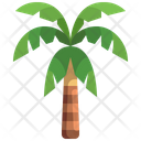 پیش‌نمایش فایل coconut-tree-3507203 از پک درخت