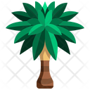 پیش‌نمایش فایل coconut-tree-3507216 از پک درخت