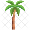 پیش‌نمایش فایل coconut-tree-3507226 از پک درخت