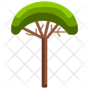 پیش‌نمایش فایل coconut-tree-3507228 از پک درخت