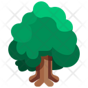 پیش‌نمایش فایل green-forest-3507214 از پک درخت