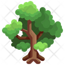 پیش‌نمایش فایل green-forest-3507215 از پک درخت