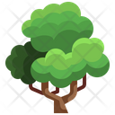 پیش‌نمایش فایل green-forest-3507219 از پک درخت