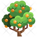 پیش‌نمایش فایل mango-tree-3507220 از پک درخت
