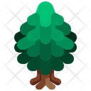 پیش‌نمایش فایل pine-tree-3507218 از پک درخت