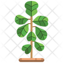 پیش‌نمایش فایل plant-3507230 از پک درخت