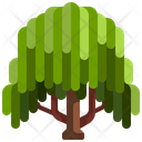 پیش‌نمایش فایل willow-tree-3507227 از پک درخت