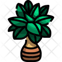 پیش‌نمایش فایل plant-3507143 از پک درخت