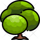 پیش‌نمایش فایل plant-3507152 از پک درخت
