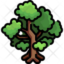پیش‌نمایش فایل plant-3507156 از پک درخت